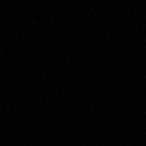 Meet your Posher, Bernice